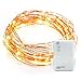 Kohree 10ft 60 LEDs String Lights, AA Battery Powered Decor Rope Lights for Holiday, Wedding, Parties Decoration with Timer & Battery Box (Warm White)