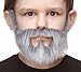 Mustaches Fake Beard, Self Adhesive, Novelty, Small On Bail False Facial Hair, Costume Accessory for Kids, Gray with White Color