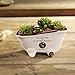 Originalidad French Country Style Bathtub Flower Pot, White Porcelain Vintage Flower Pot Planter, Bathtub Succulent Planter, Ideal for Small Succulent, Soap Dish, Home Decor (Set of 2)