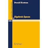 Algebraic Spaces (Lecture Notes in Mathematics, 203)
