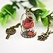 SKYEO Romantic Dried Flowers Glass Bronze Long Chain Necklace Red Rose