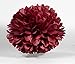 HEARTFEEL 5pcs Tissue Paper Pom-poms Flower Ball Wedding Party Outdoor Decoration Tissue Balls/Baby Shower/Birthday Party/Paper Ball Decor (12 inch, Burgundy)