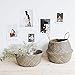 Natural Craft Seagrass Plant Basket for Storage Size (12x12x11 inches) - Style: Black Zigzag, Laundry, Picnic - Plant Pots Cover Indoor Home Decor - Hand Woven Straw Beach Bag with Handles M
