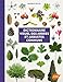 Dictionnaire visuel des arbres et arbustes communs (French Edition) by