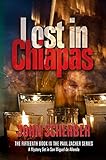Lost in Chiapas (Murder in Mexico Book 15)