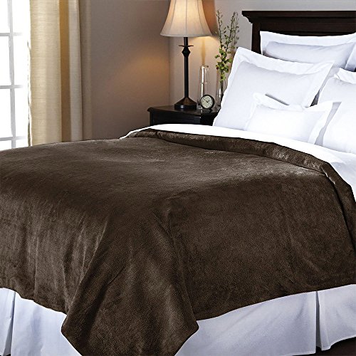 Sunbeam Velvet Plush Queen Heated Blanket with 20 Heat Settings, Auto