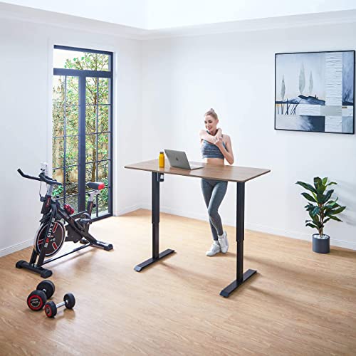 LINSY HOME Height Adjustable Electric Standing Desk, 47 x 23 Inches