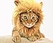 Prymal Lion King Cat Costume. This Pet Costume Turns Your Cat/Dog Into a Ferocious Lion King!