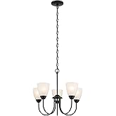 Kichler Jolie 18.5" 5-Light Chandelier with Satin Etched Glass in Black, for Dining Room, (18.5" x 22"), 43638BK
