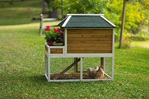 Prevue Pet Chicken Coop - Image 3
