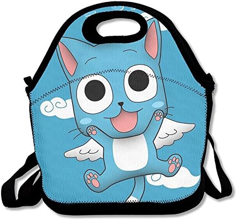 TuJa Fairy Tail Lunch Box Bag For Women, Adults, Kids, Girls, And Teen Girls