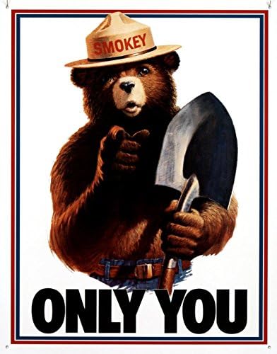 Smokey Bear - Only You Tin Sign 13 x 16in
