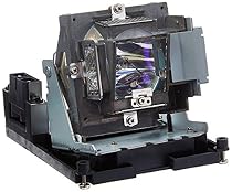 OPTOMA TECHNOLOGY BL-FU310B UHP 310W Lamp