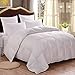 HOMFY Premium Cotton Comforter Queen,Quilted Comforter with Corner Tabs, Hypoallergenic, Soft and Breathable (White, Queen (88