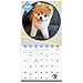 2018 Boo Mini Calendar (Day Dream)