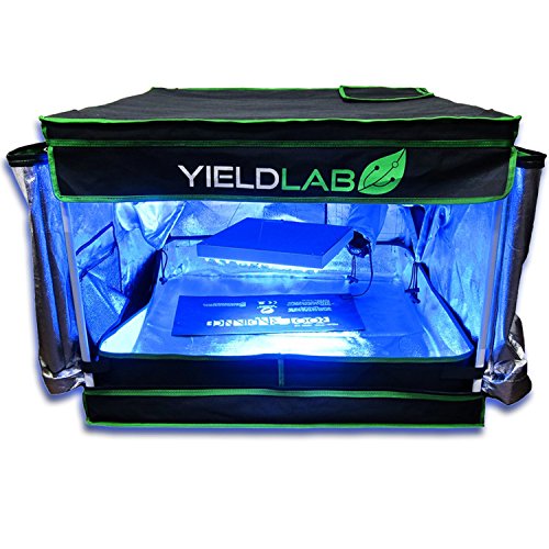 Yield Lab 32" x 32" x 24" Grow Tent with Viewing Window for Indoor