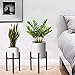 Adjustable Wood Plant Stand Indoor Mid Century Modern Plant Pot Holder,Best fits 9 to 12 Inch Flower Pot(Plant and Pot not Included) …thumb 4