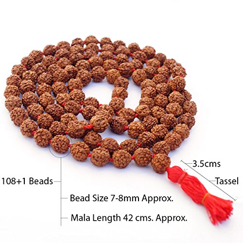 Rudraksha Seed Mala (Origin Nepal) 108 Beads Buy Online in UAE