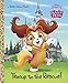 Teacup to the Rescue! (Disney Princess: Palace Pets) (Little Golden Book)