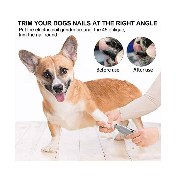 electric dog nail grinder