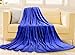 Balichun King Size Soft Blanket,Super Warm,Luxury,Lightweight,Fuzzy,Fleece Blanket All Season for Couch,Sofa,Bed Blanket 90x108 Inch
