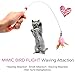 Cat Toy Feather Wand, FANCER Bundle of 4 Pack Interactive Pet Cat Kitten Chaser Teaser Wire Wand With Bell Beads for Cat Exercise Play Fun Gifts - Wholesale