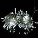 100 LED 10m String Decoration Light for Christmas Party Wedding 110V (white) Ships from CA