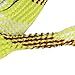 BREAKTHROUGH CLEAN TECHNOLOGIES - BATTLE ROPE:Bore Snake Cleaner for Firearm Maintenance