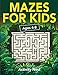 Mazes For Kids Ages 4-8: Maze Activity Book for Kids | 4-6, 6-8 | Workbook for Games, Puzzles, and Problem-Solving (Fun Learning Activities for Kids) by Activity Nest