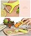 nuosife 3-Piece Fruit Vegetable Peeler Set Y Style, Double Sides,One Sides
