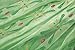 Padete Little Girls Anna Princess Dress Elsa Snow Party Queen Halloween Costume (4 Years, Green)