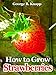 How to Grow Strawberries by