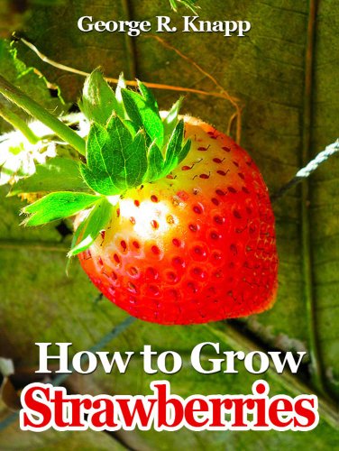 How to Grow Strawberries by George R. Knapp