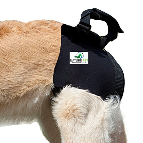 Buy Nature Pet Pfaff Medical Dog Rear Carrier/Lifting Harness/Dog