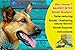 Petzos All Natural Dog Treats - Minty Morsels, Mint and Ginger Flavored, Gluten-and-Grain-Free Dog Biscuits - Tasty Dog Cookies 10 oz