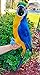 All Seas Imports Complete Handcrafted Ultra Lightweight Parrot with Real Feathers/Bendable FEET!