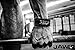 JAW Pullup Gloves - Best Selling Hand Grip & Palm Protection for WODs, Functional Fitness, Gymnastics, Weight lifting & more