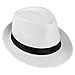 1920s Mens Accessories Hard Felt Panama Hat, Y-Back Suspenders & Pre Tied Bow Tie, Tie,Toy Cigar & Fake Mustache (OneSize, 1White)