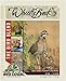 BioLogic Whistle Back Quail Food Plot Seed, Ideal for Bird Species, Quail, Turkeys, Pheasants, Doves & Waterfowl, Diversify and Promote Wildlife Growth, 10 lb Bag Plants 1/4 Acre