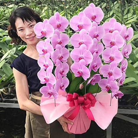 Amazon ふじみ野ラン園 幸せが飛んでくる胡蝶蘭 生花 お誕生日ギフトに最適 ピンク 1ランク上のプレミアムタイプ 移転祝い 開業祝い 開店祝い 就任祝い お誕生日 当選祝い 長寿のお祝いお供えに 品質保証 フラワーアレンジメント オンライン通販