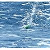 Turbo-Teaser-Bird-Green-Saltwater-Fishing-Lure-for-Tuna-Mahi-Wahoo-Marlin