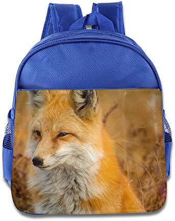 Fox PicturePreschool Child Care Bags Design For 1-3 Years Old School Class Small Class Baby Use 3-6 Year Old Kindergarten Use