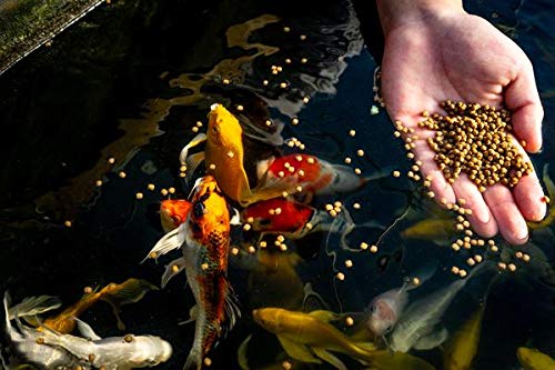 image for Blue Ridge Fish Hatchery Blue Ridge Fish Food [5LB], Mini and 3/16