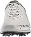 ECCO Men's Biom G2 Golf Shoe