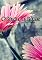 Livro O Reino e as Flores