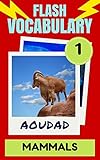 Flash Vocabulary #1: 101 Mammals (Flash Vocabulary Builders)