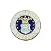 US Air Force Veteran Lapel Pin