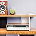 Polk Audio AM6911-A Omni P1 Wireless Wi-Fi Music Streaming Adapter