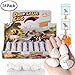 Xosoy Dinosaur Toy, 54 Pcs Dinosaur Eggs with Mini Dinosaur Toys Inside | Novelty Magic Hatching Growing Dinosaur Egg | Best Children Gift (54pcs)