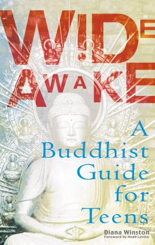 Wide Awake: Buddhism for the New Generation